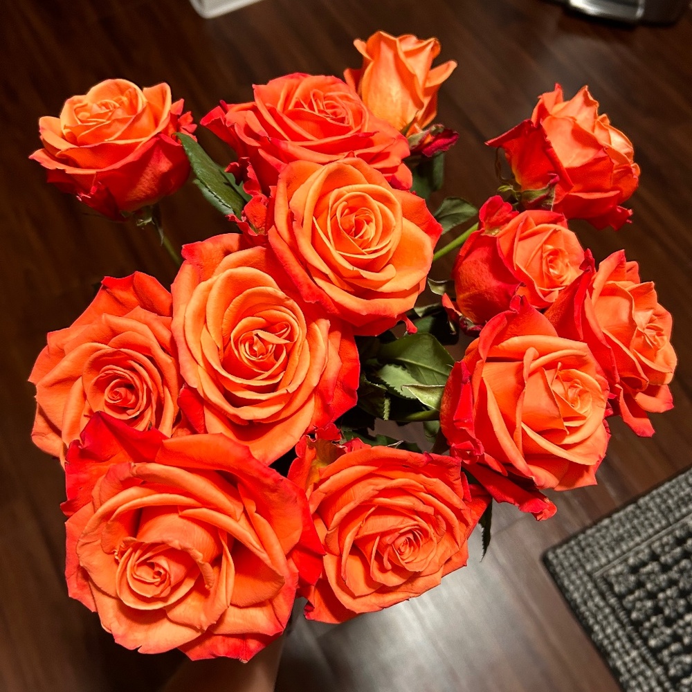 Meet your Posher, Grace